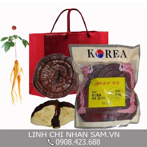 Cách Sử Dụng Nấm Linh Chi Cách Sử Dụng Nấm Linh Chi