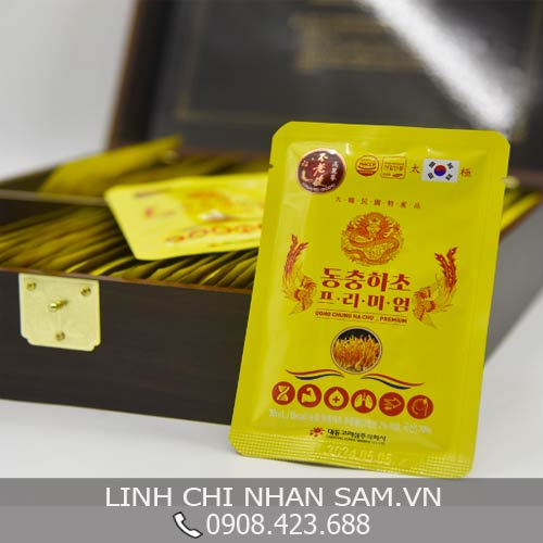 Đông Trùng Hạ Thảo Dạng Nước Đông Trùng Hạ Thảo Dạng Nước