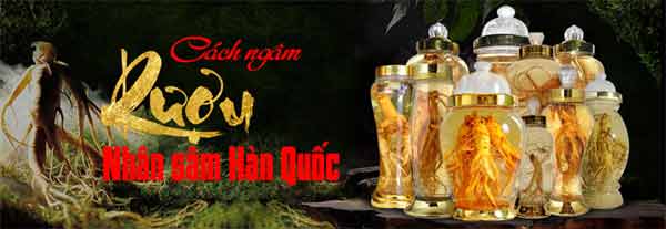 Hướng Dẫn Cách Ngâm Rượu Nhân Sâm Hướng Dẫn Cách Ngâm Rượu Nhân Sâm