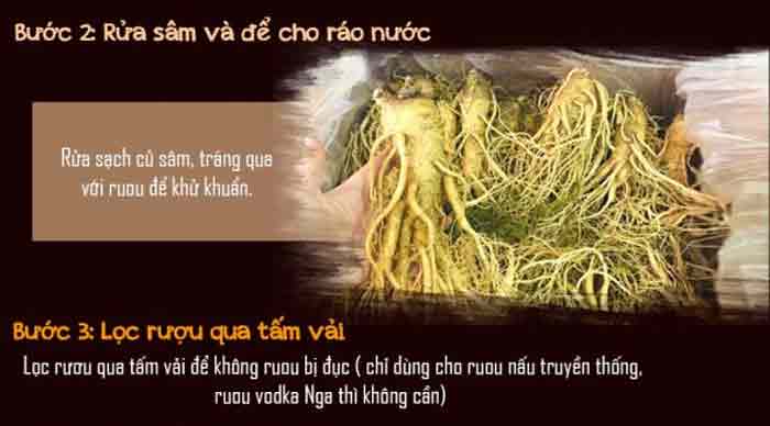 Hướng Dẫn Cách Ngâm Rượu Nhân Sâm Hướng Dẫn Cách Ngâm Rượu Nhân Sâm