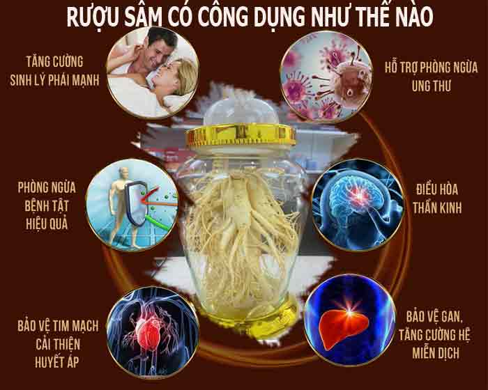 Hướng Dẫn Cách Ngâm Rượu Nhân Sâm Hướng Dẫn Cách Ngâm Rượu Nhân Sâm