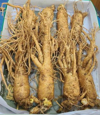 Nhân Sâm Hàn Quốc 8 củ 1kg Nhân Sâm Hàn Quốc 8 củ 1kg