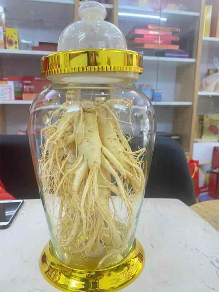 Nhân Sâm Hàn Quốc 8 củ 1kg Nhân Sâm Hàn Quốc 8 củ 1kg