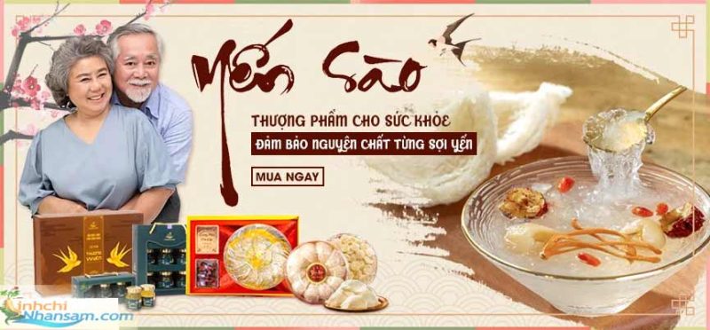 Tổ Yến Tinh Chế