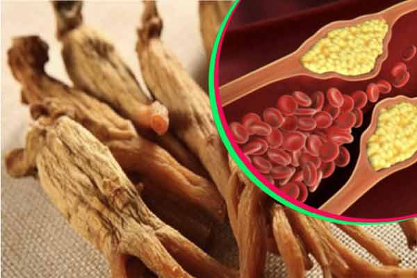 10 Tác Dụng Của Hồng Sâm Đối Với Sức Khỏe 10 Tác Dụng Của Hồng Sâm Đối Với Sức Khỏe