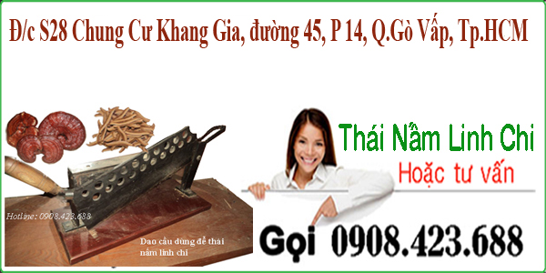 Cắt Nấm Linh Chi Nhanh Chóng Tại Cửa Hàng Linh Chi Nhân Sâm Cắt Nấm Linh Chi Nhanh Chóng Tại Cửa Hàng Linh Chi Nhân Sâm