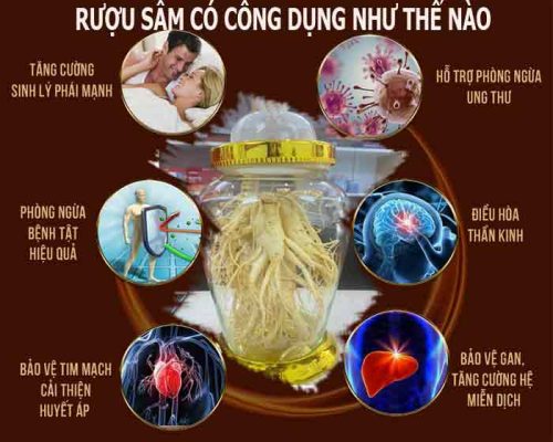 Nhân Sâm Hàn Quốc 6 củ 1kg Nhân Sâm Hàn Quốc 6 củ 1kg